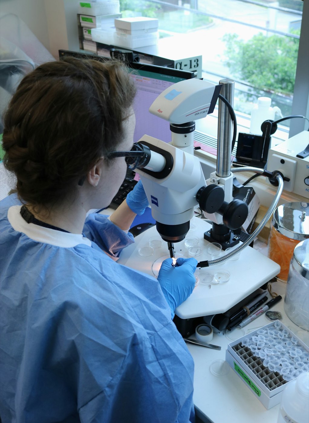 Student working with laboratory equipment
